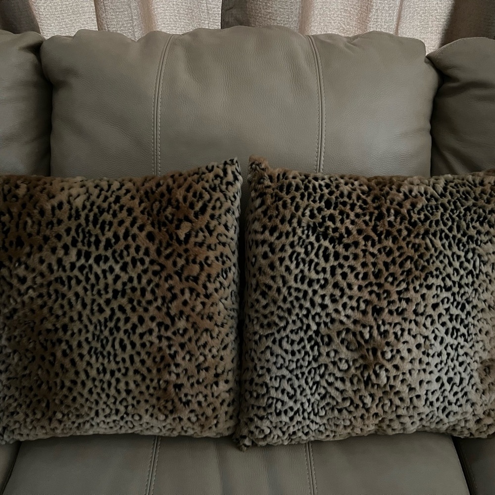 Two beautiful throw pillows